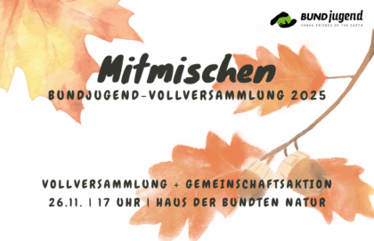 Mitmischen: Vollversammlung 2025, Herbstblätter, Bundjugend-Logo